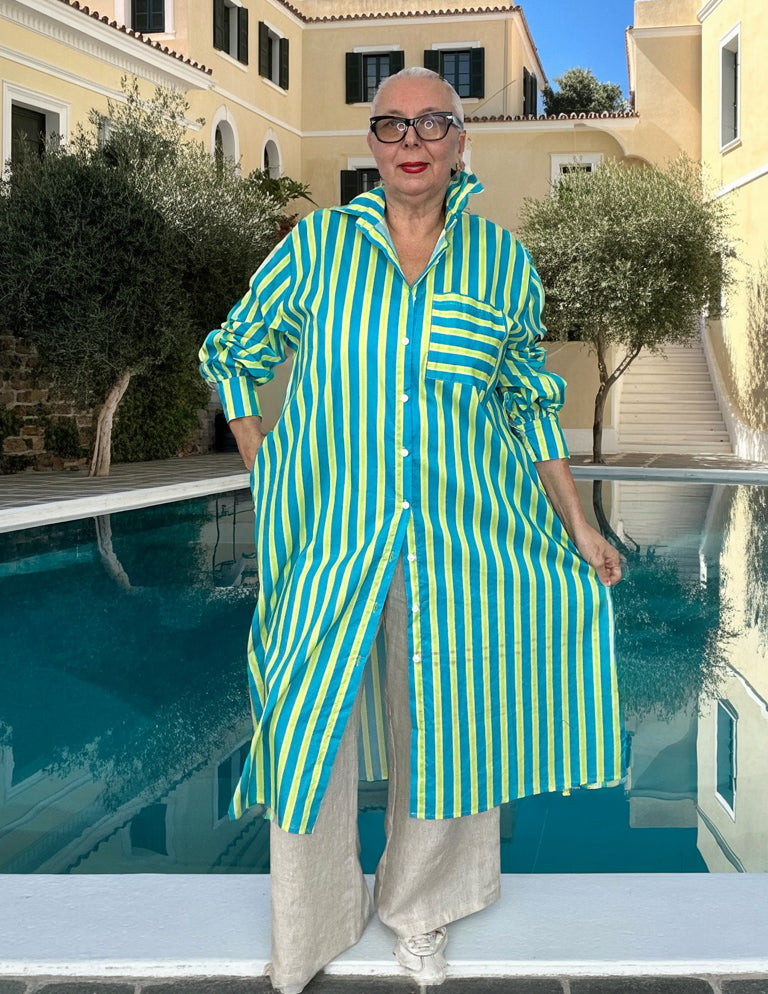Nine Two Five Shirt Dress